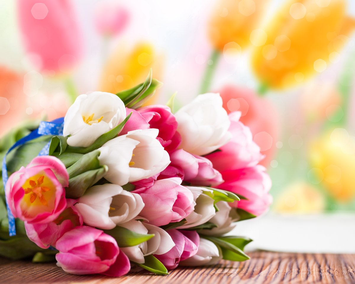 Тюльпаны открытка