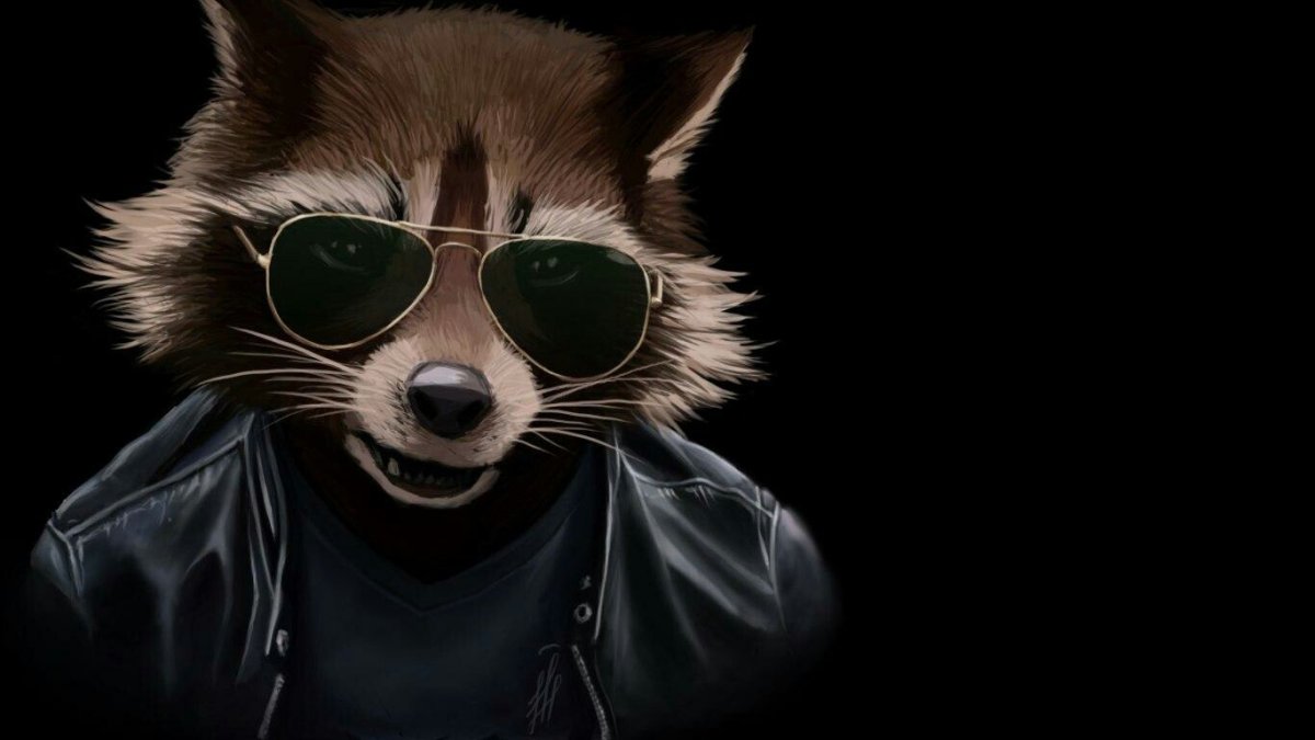Енот из стражей Галактики в очках