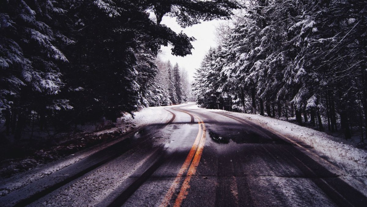 Быкова Злата Сергеевна