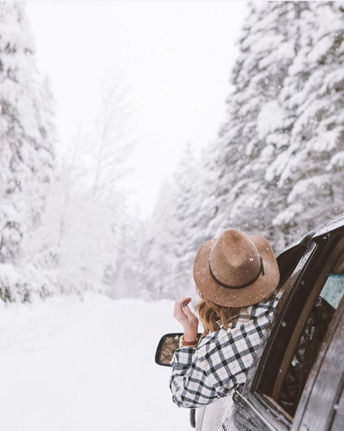 Олень в снегу