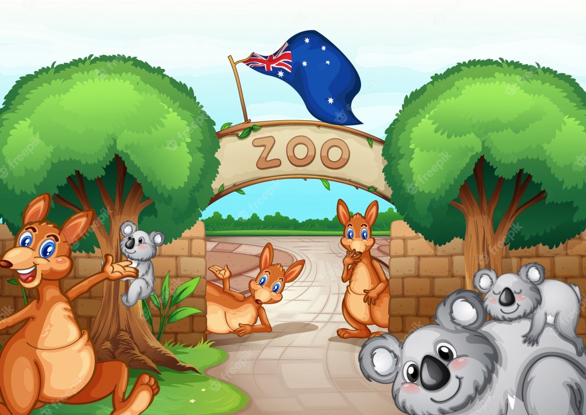 Дорога в зоопарк рисунок