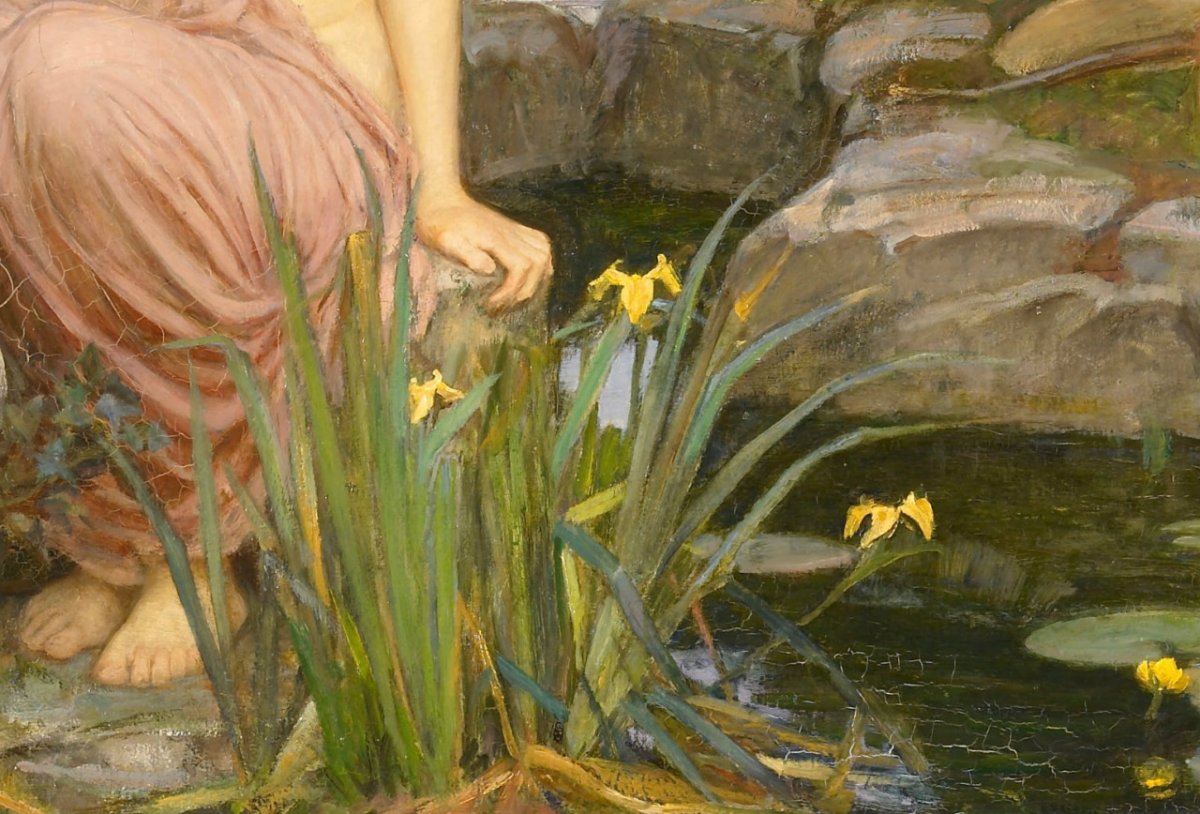 Нарцисс Ботанический Horace