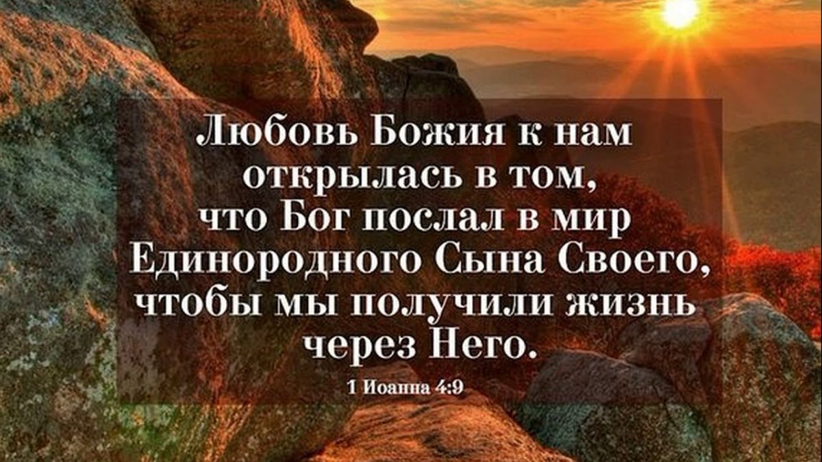 Цитаты из Библии о любви