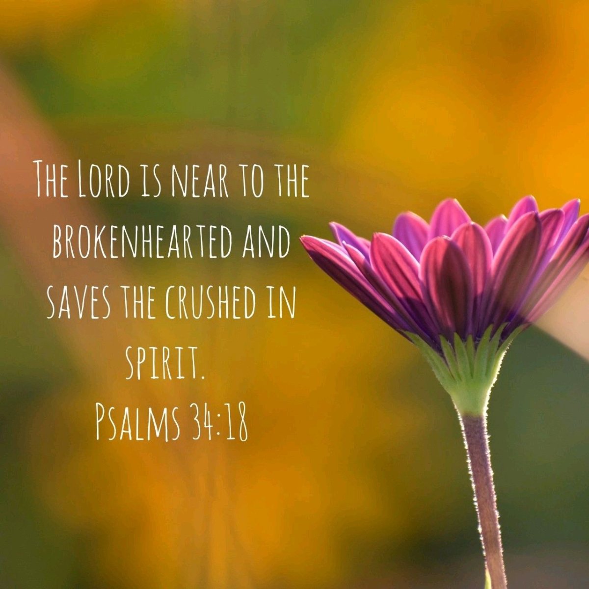 Библейские стихи