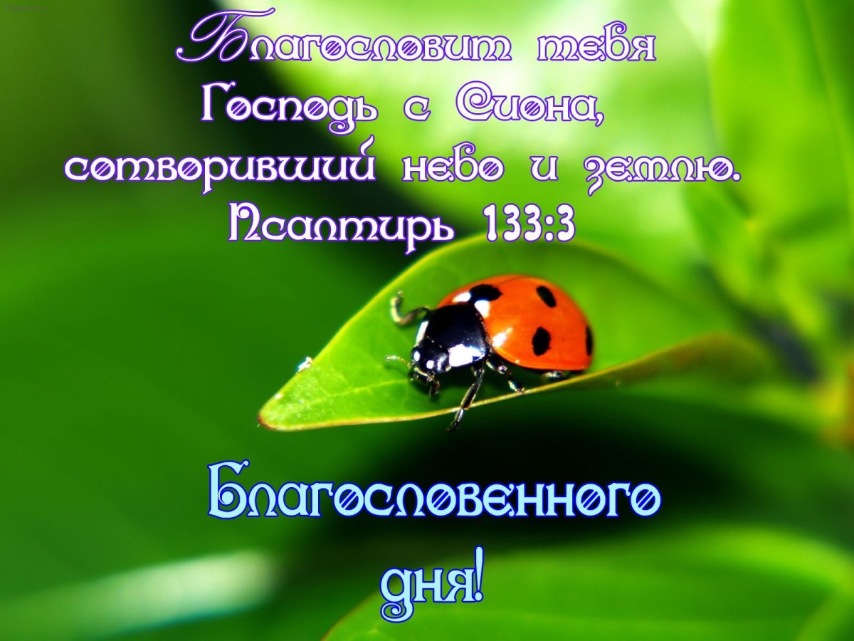 Христианские открытки вторник