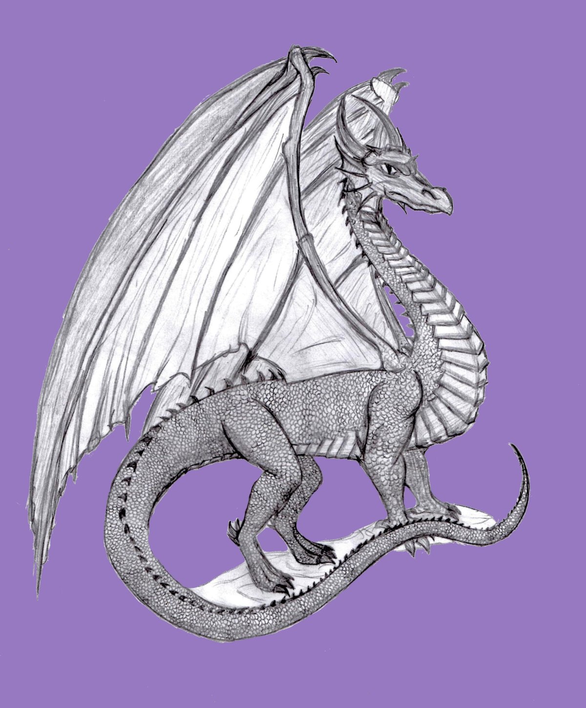 Рисунки драконов карандашом