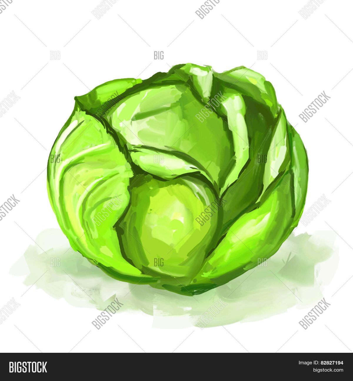 Капуста мультяшная