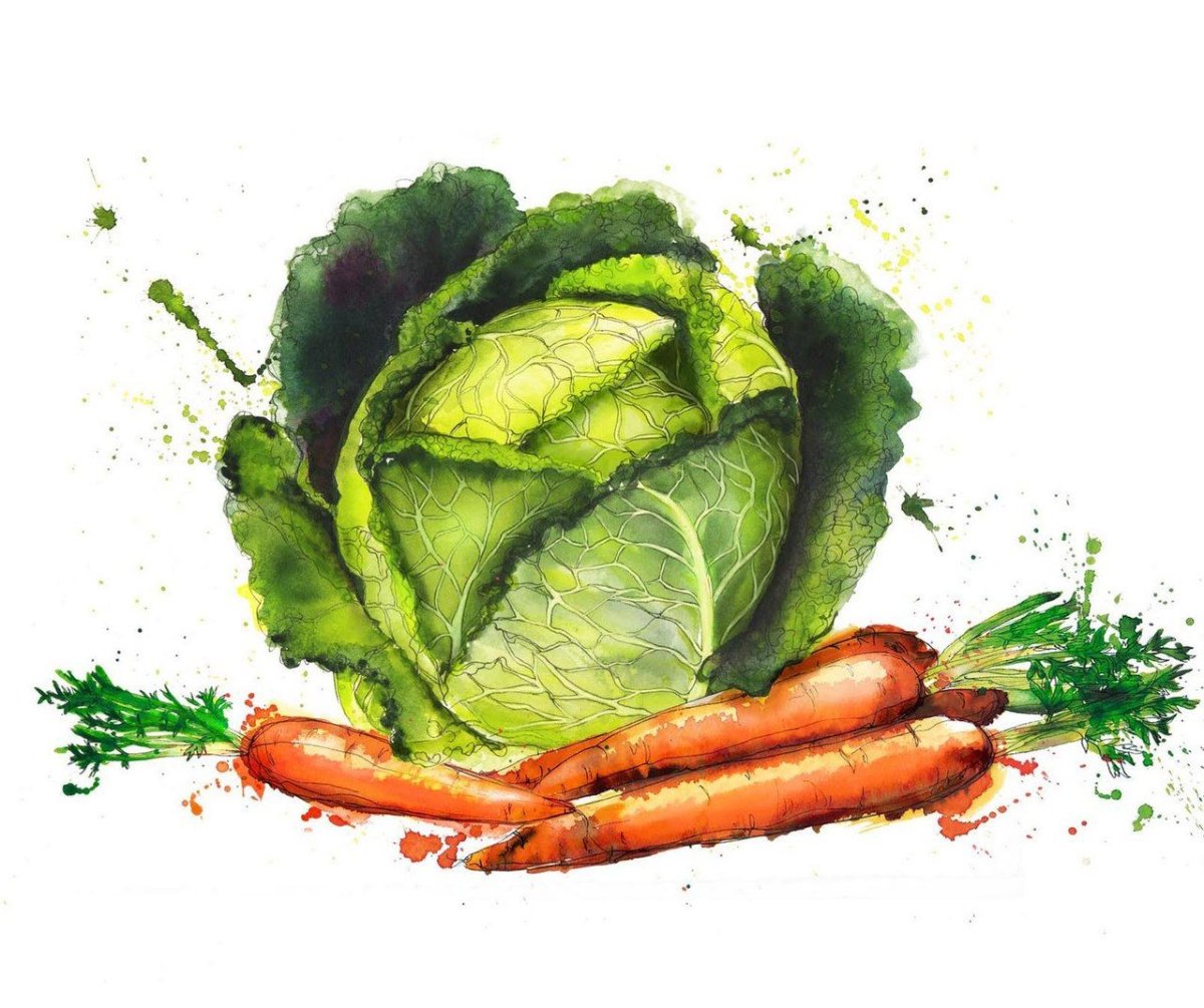 Капуста и морковь