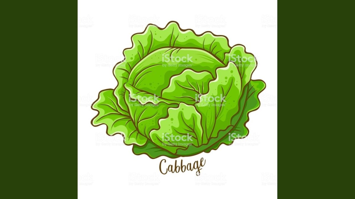 Капуста мультяшная