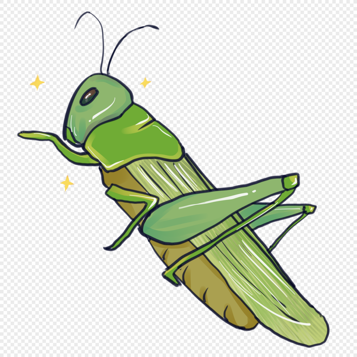 Кузнечик на прозрачном фоне