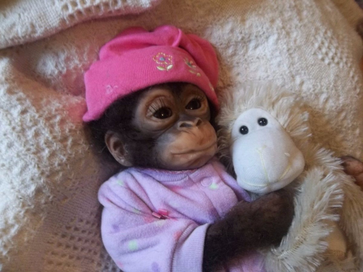 Обезьянка девочка