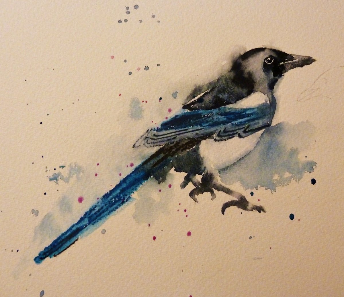 Наброски сороки