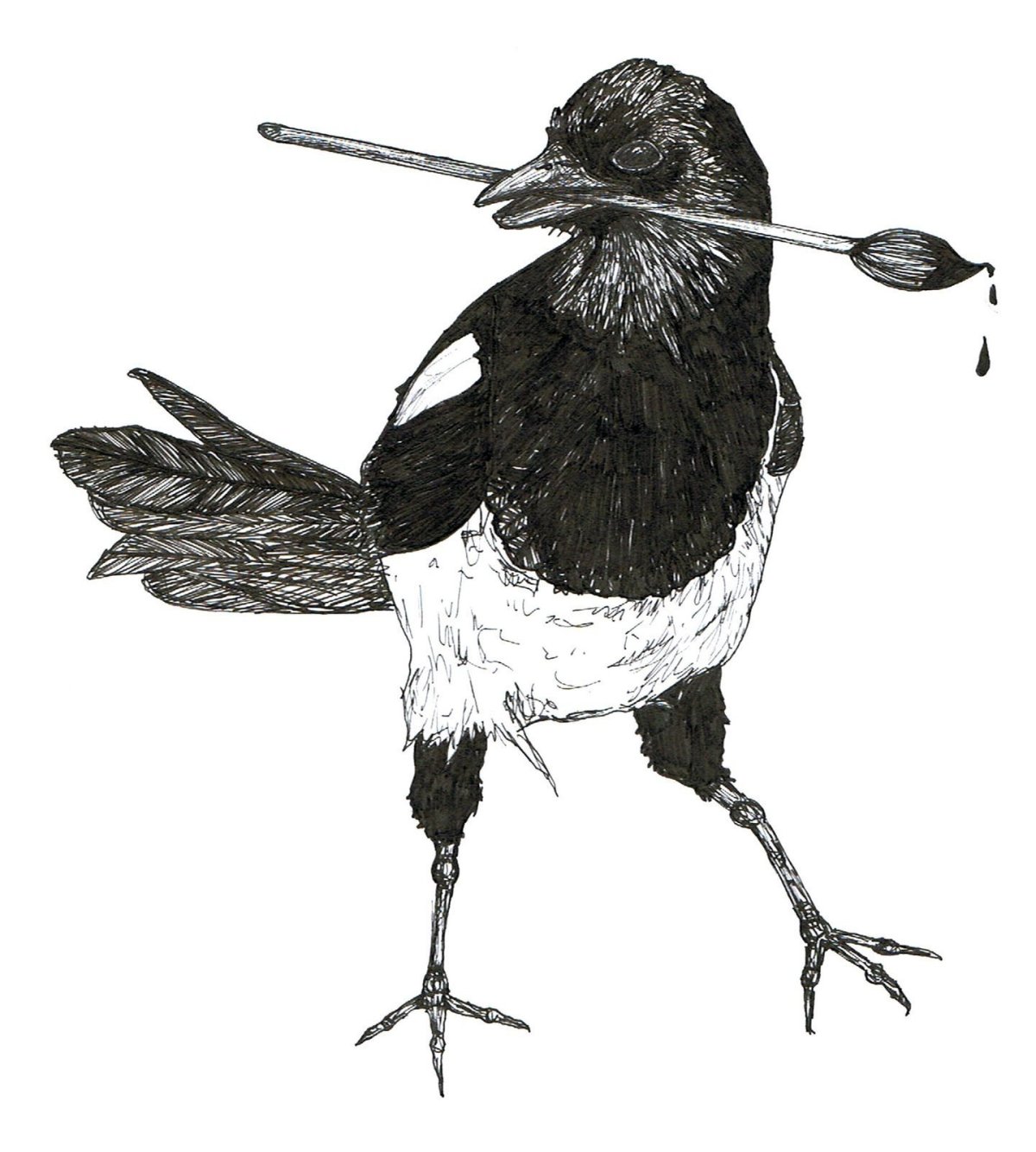 Сорока картинка для детей