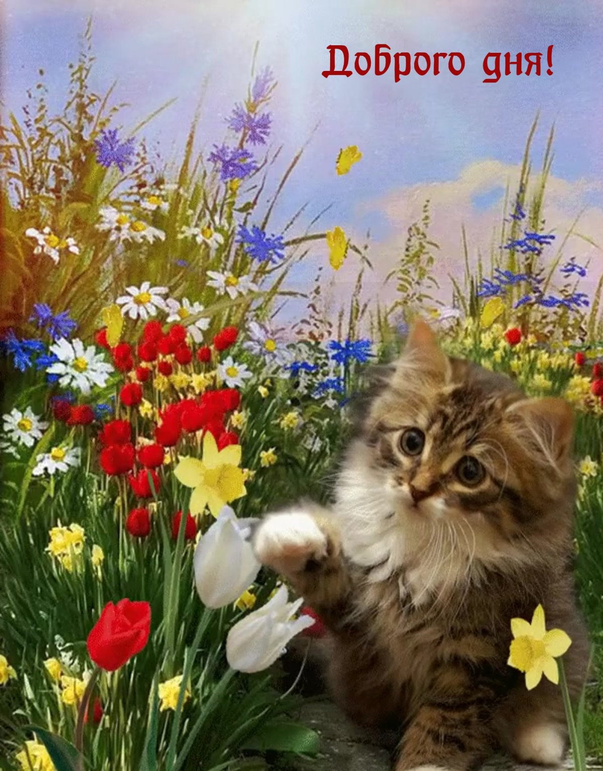 Чудесного утра с животными