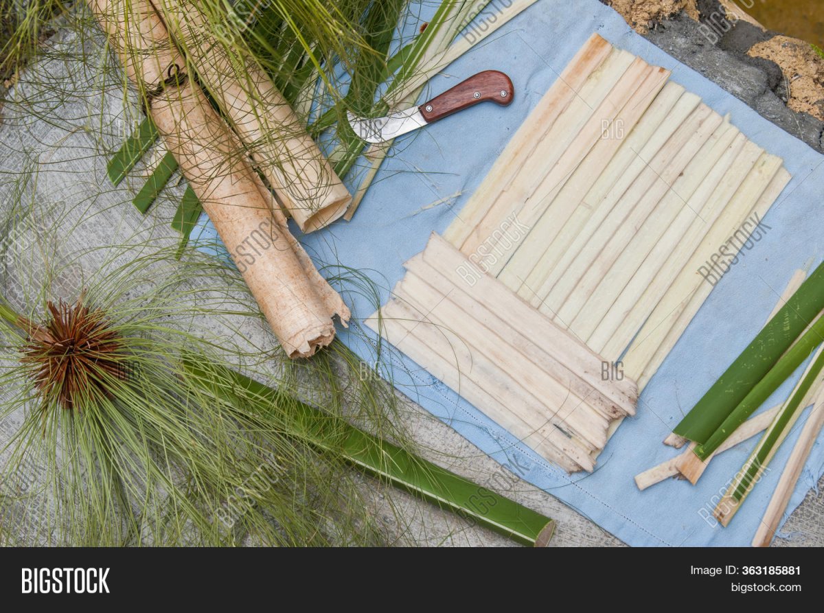 Папирус растение и бумага