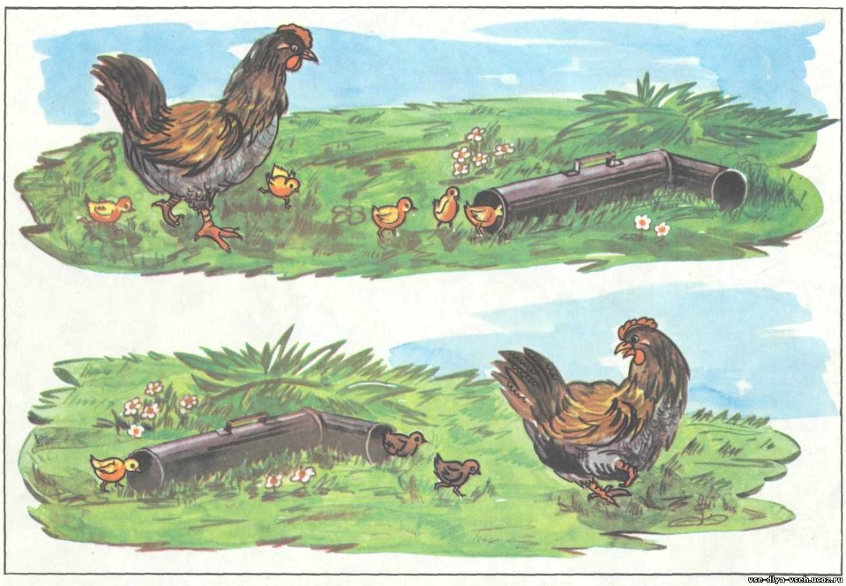 Мальчик пасет гусей