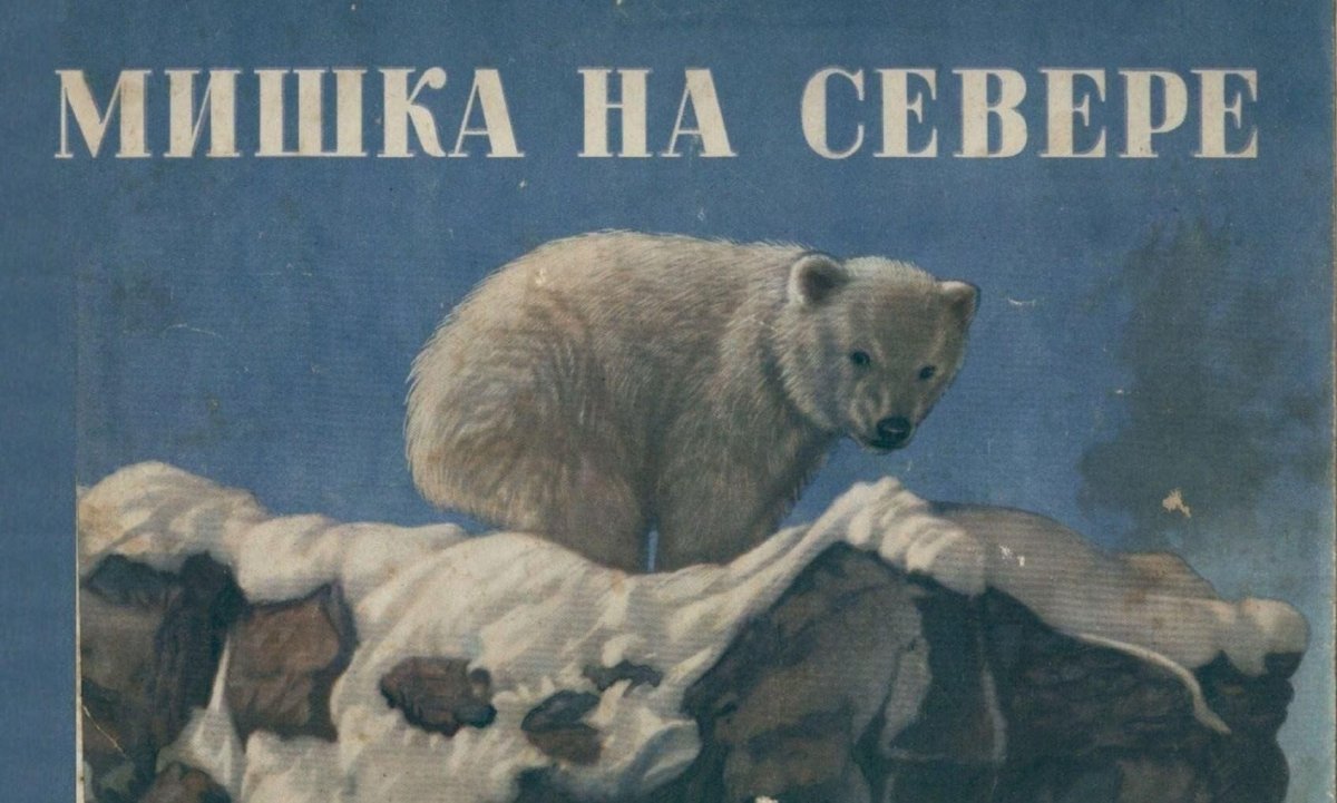 Книги о белых медведях для детей