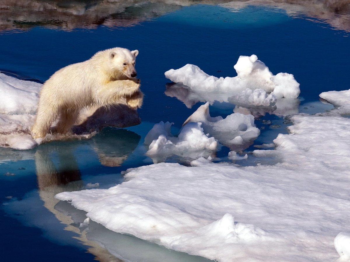 Пауль Никлен фотограф