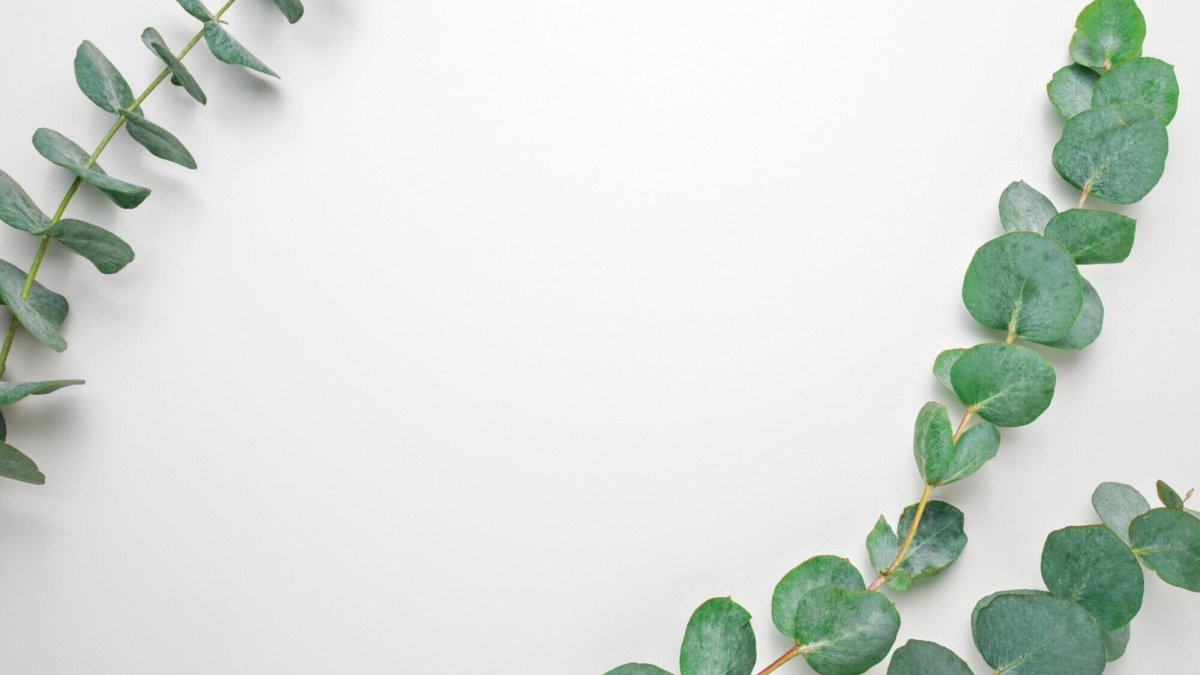 Листья Минимализм