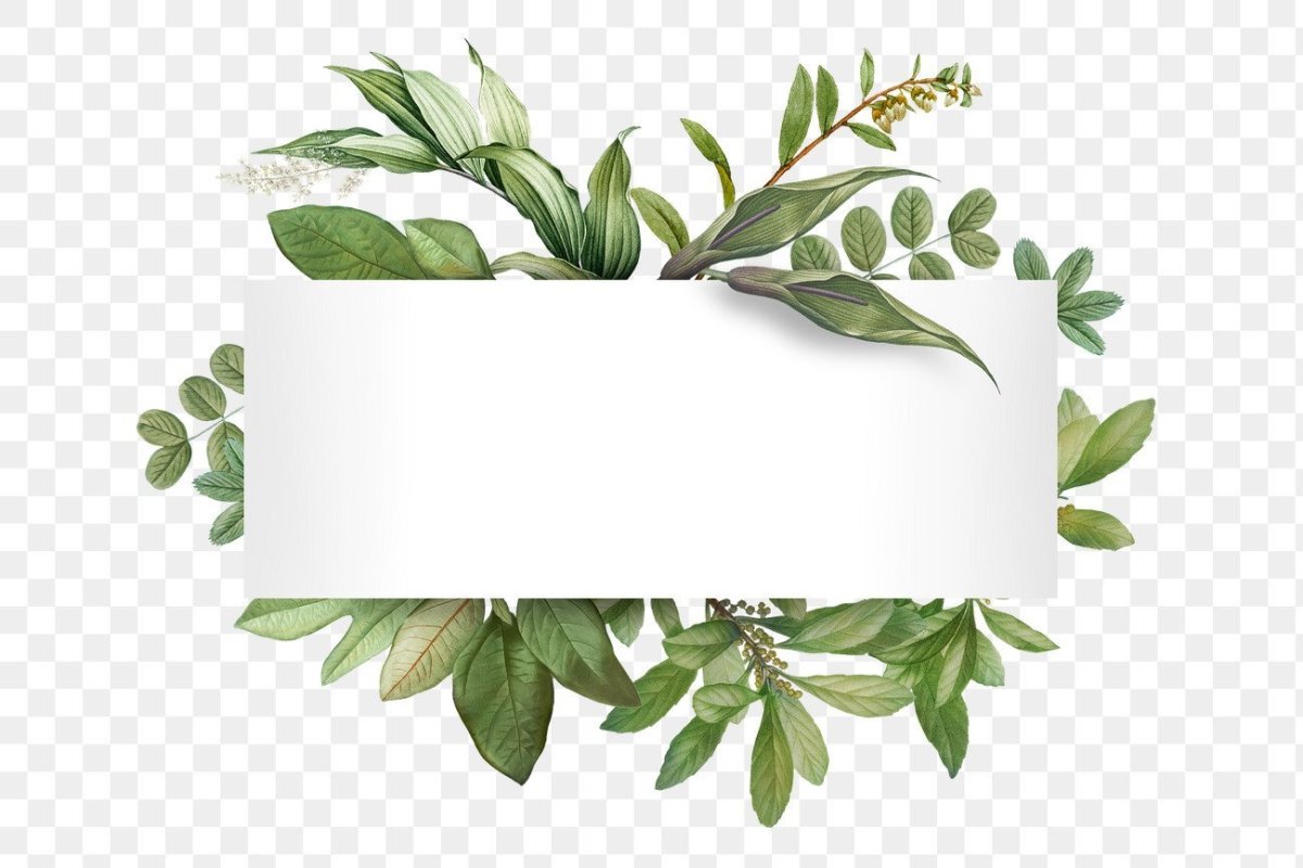 Тропические листья