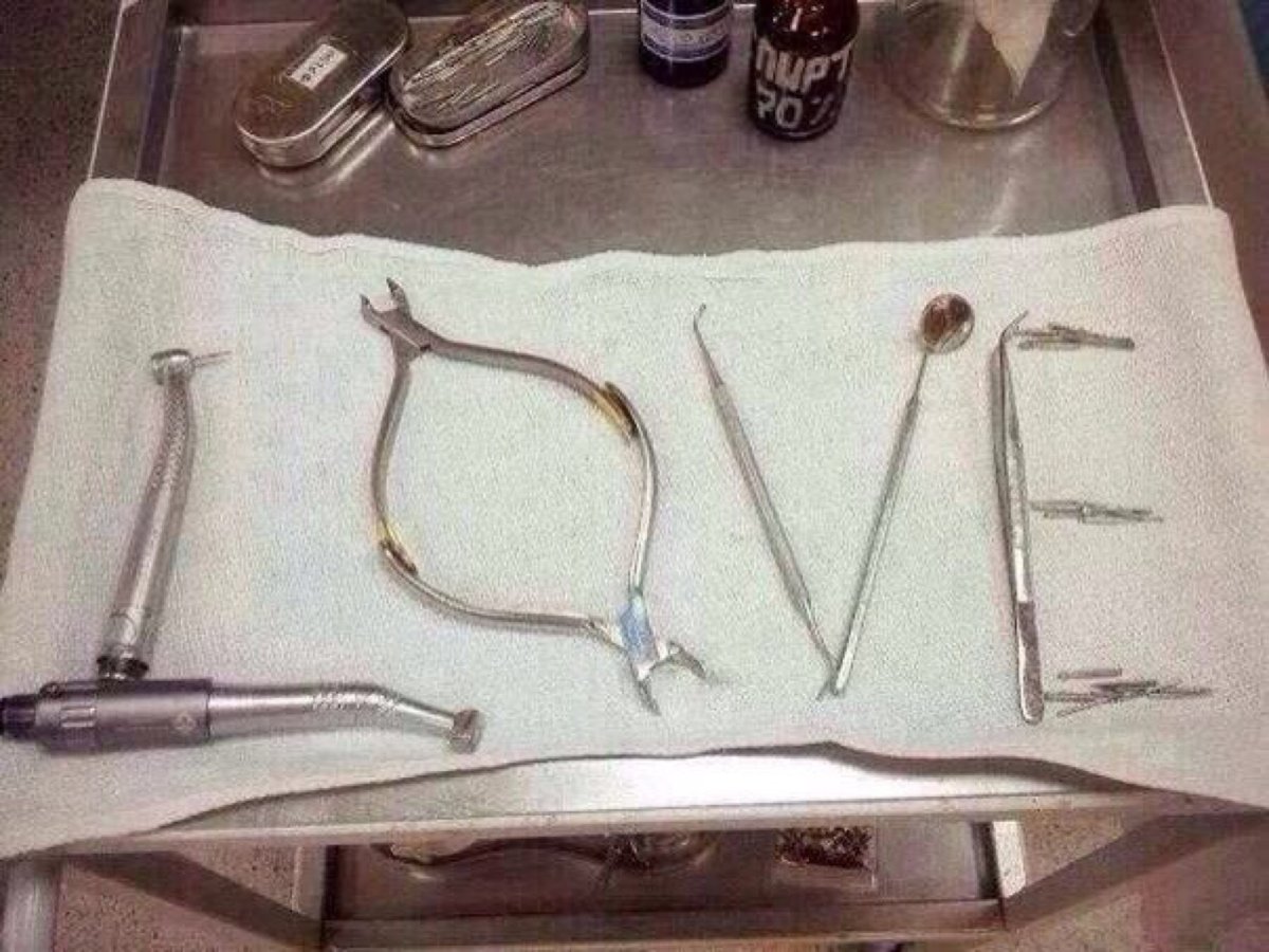 День ортодонта