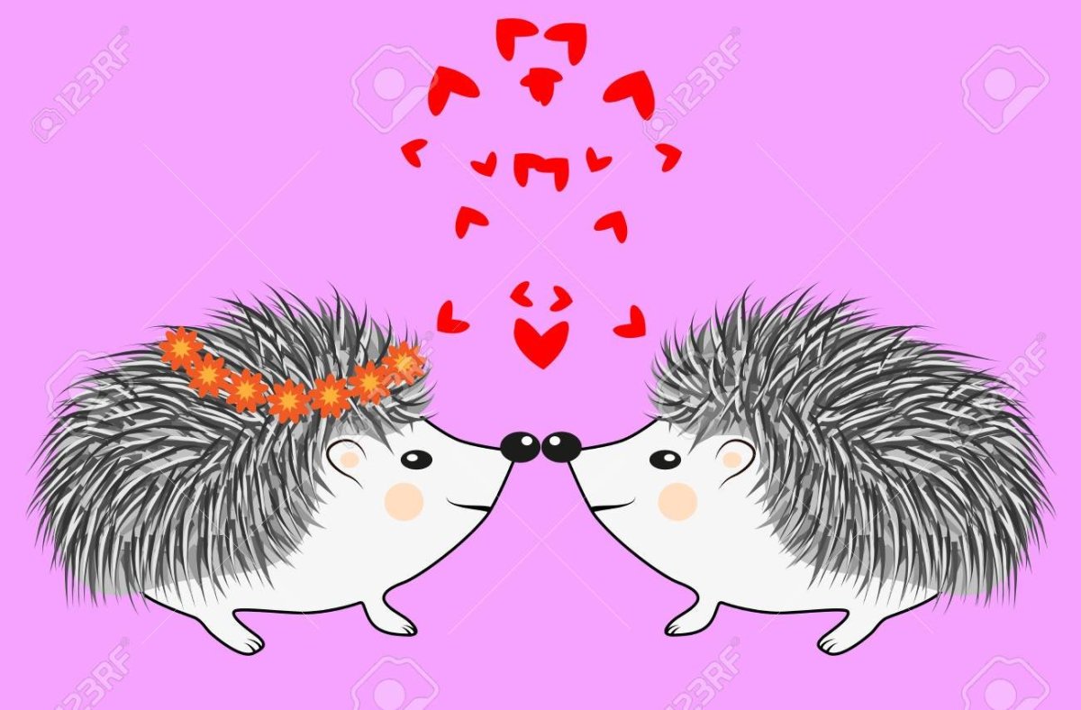 Ежик мультяшный