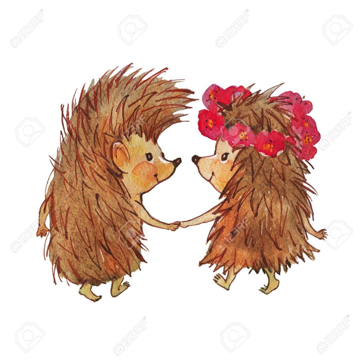 Ежик целует