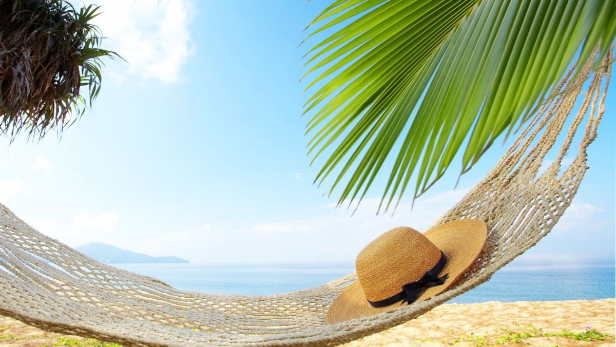 Гамак на Пальме