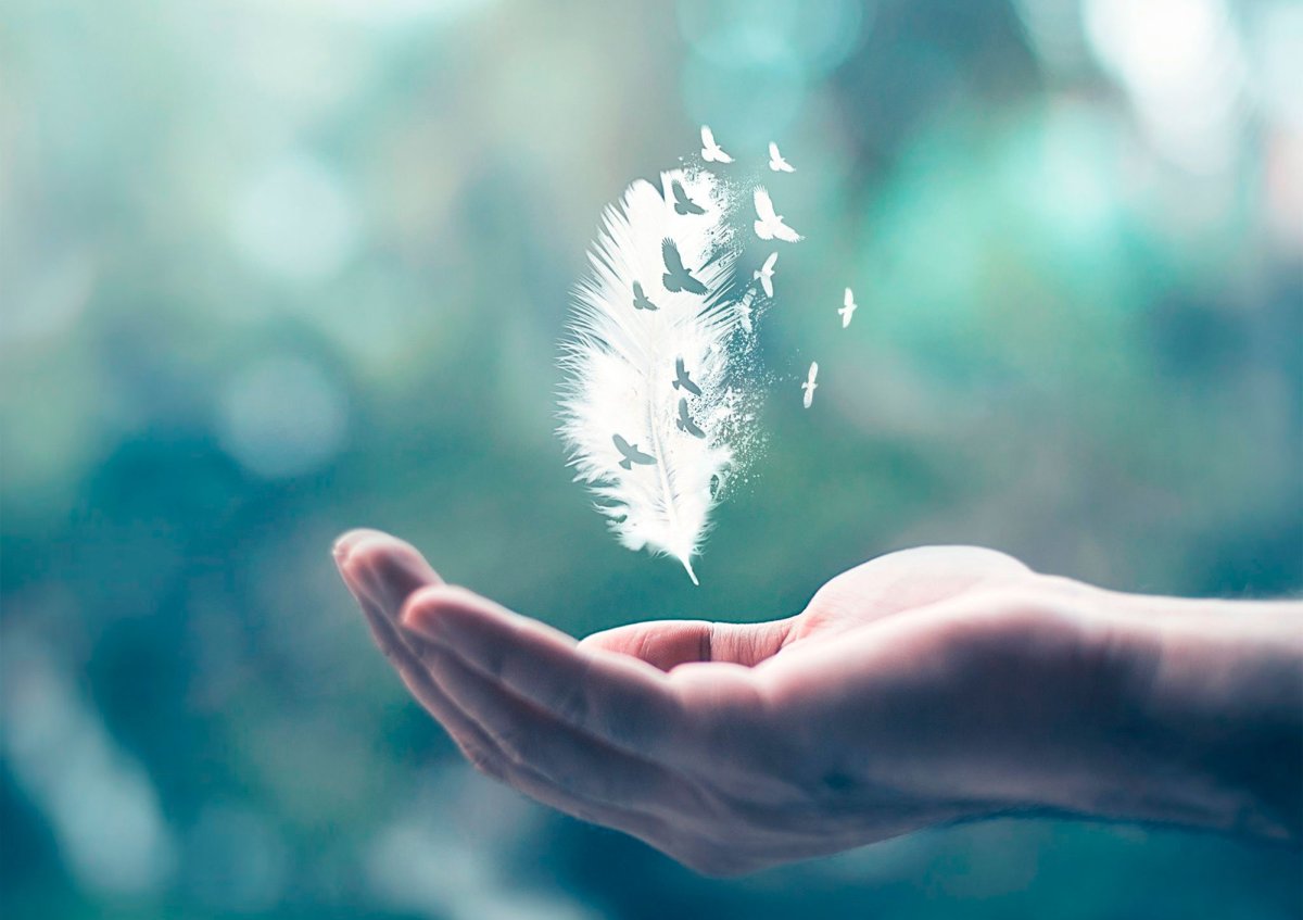 Чистые мысли