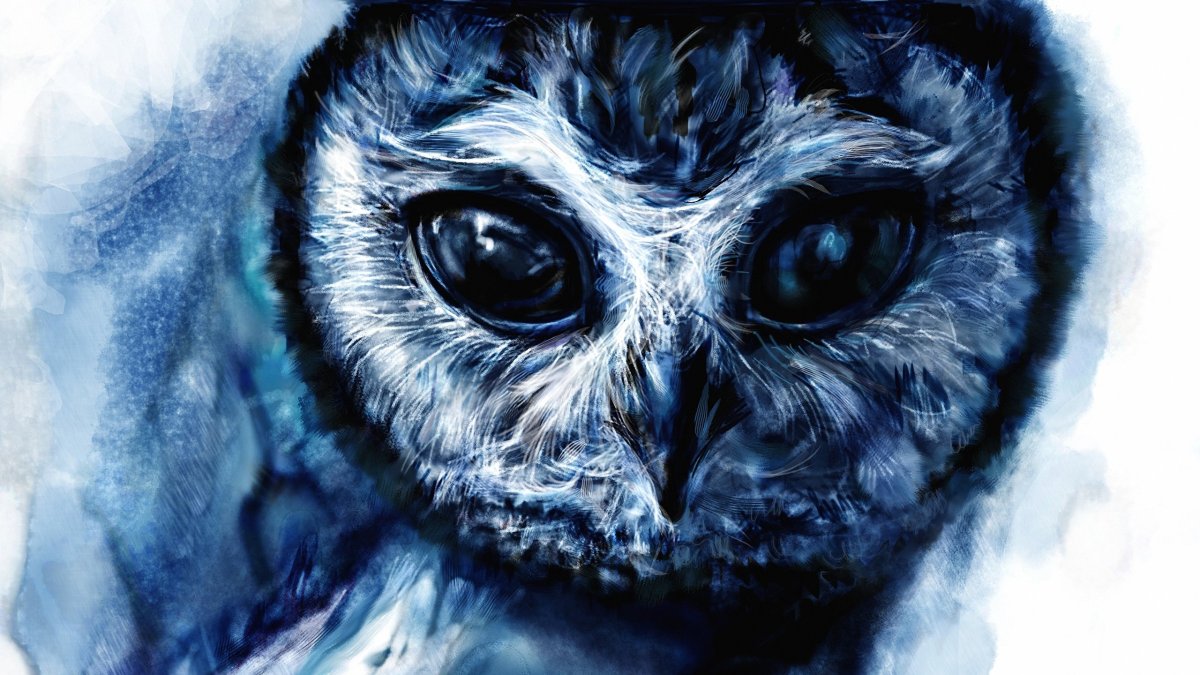 Сова арт