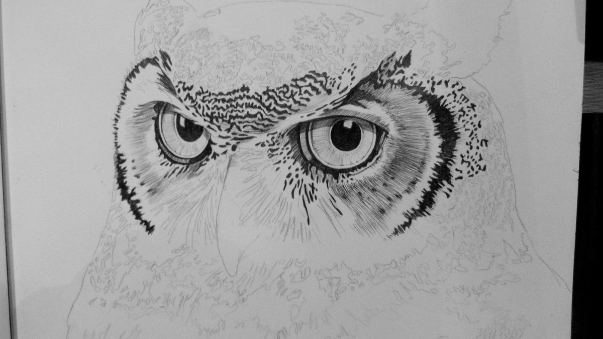 Глаз Совы карандашом