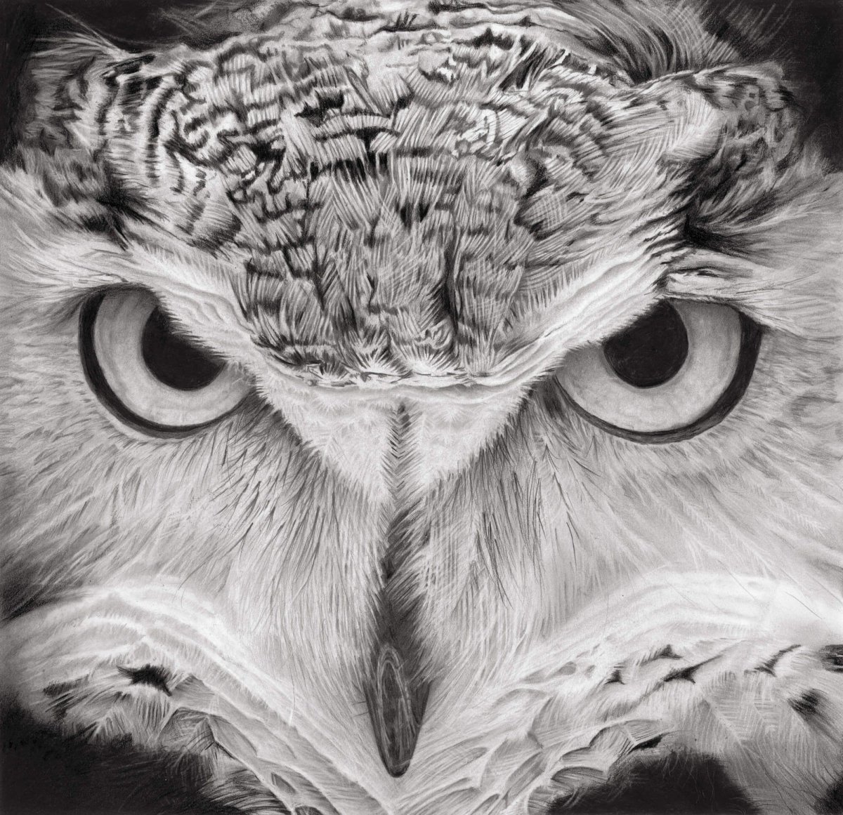 Сова карандашом