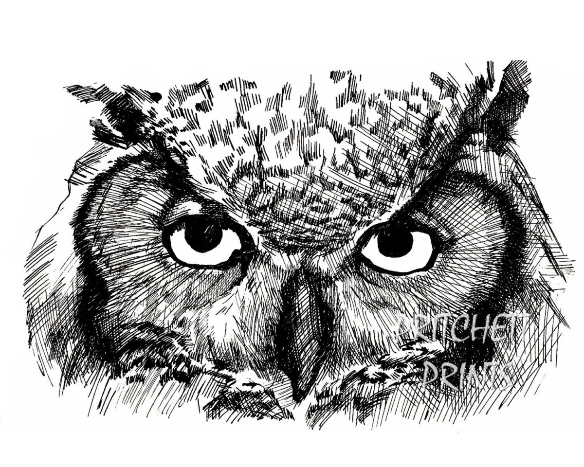 Сова рисунок черно-белый