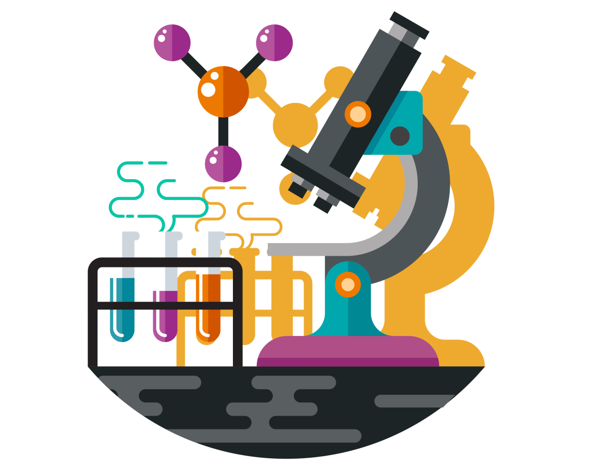 Наука Векторная Графика