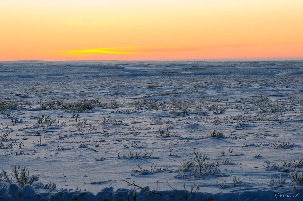Тундра климат Северное сияние