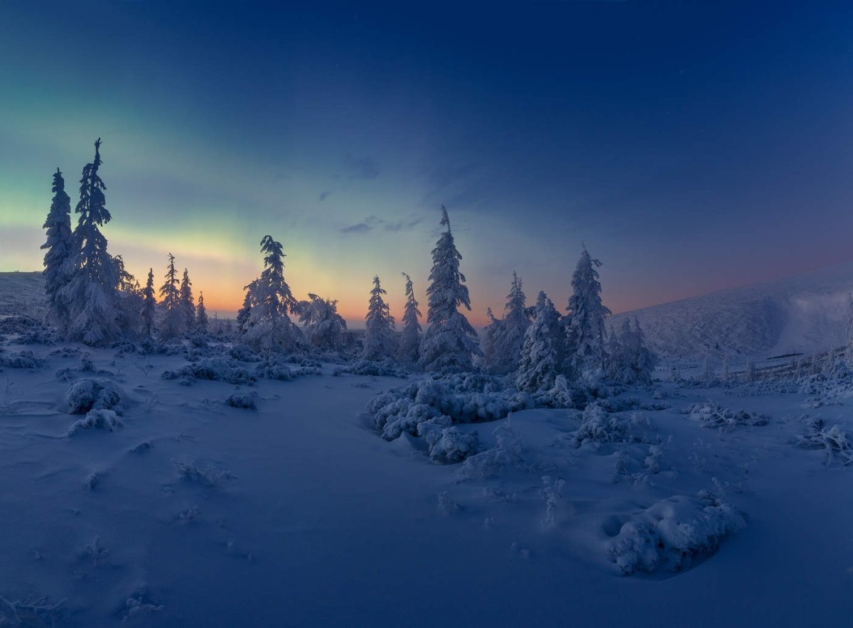 Тундра зимой ночью