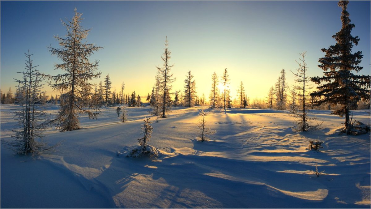 Тундра Ямала зимой