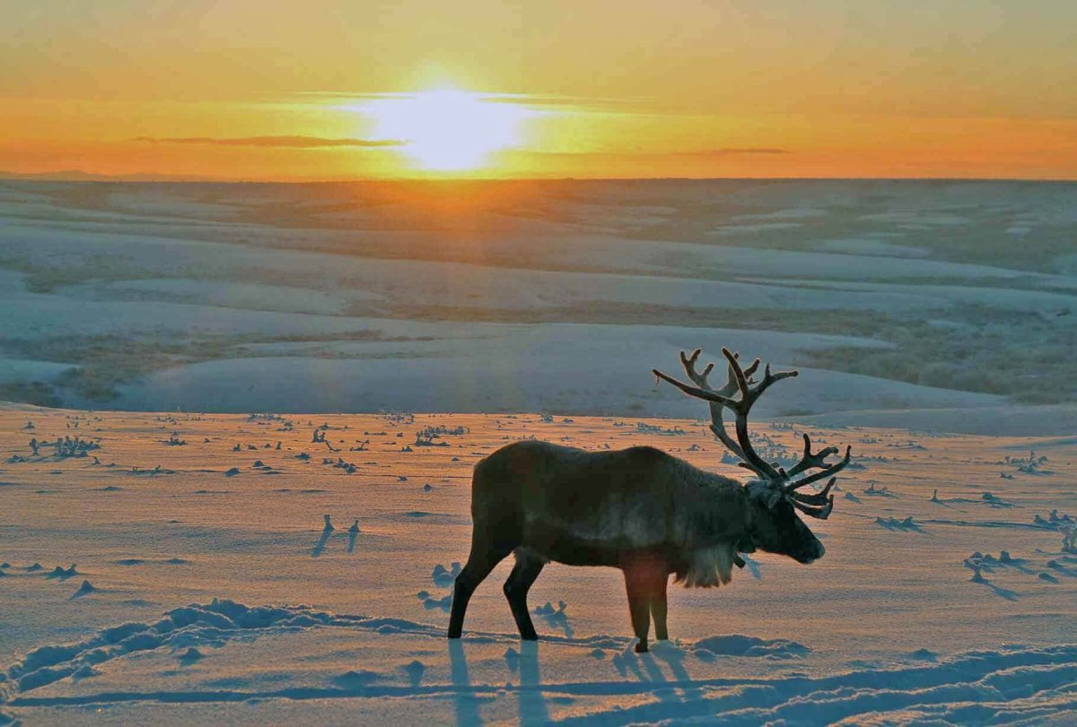 Зимний закат