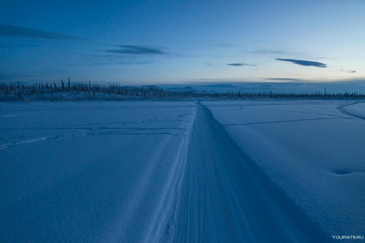 Тундра в ноябре ЯНАО