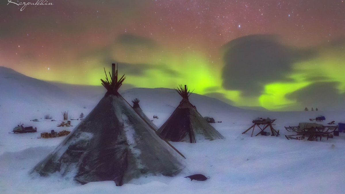 Стада оленеводы Ловозеро