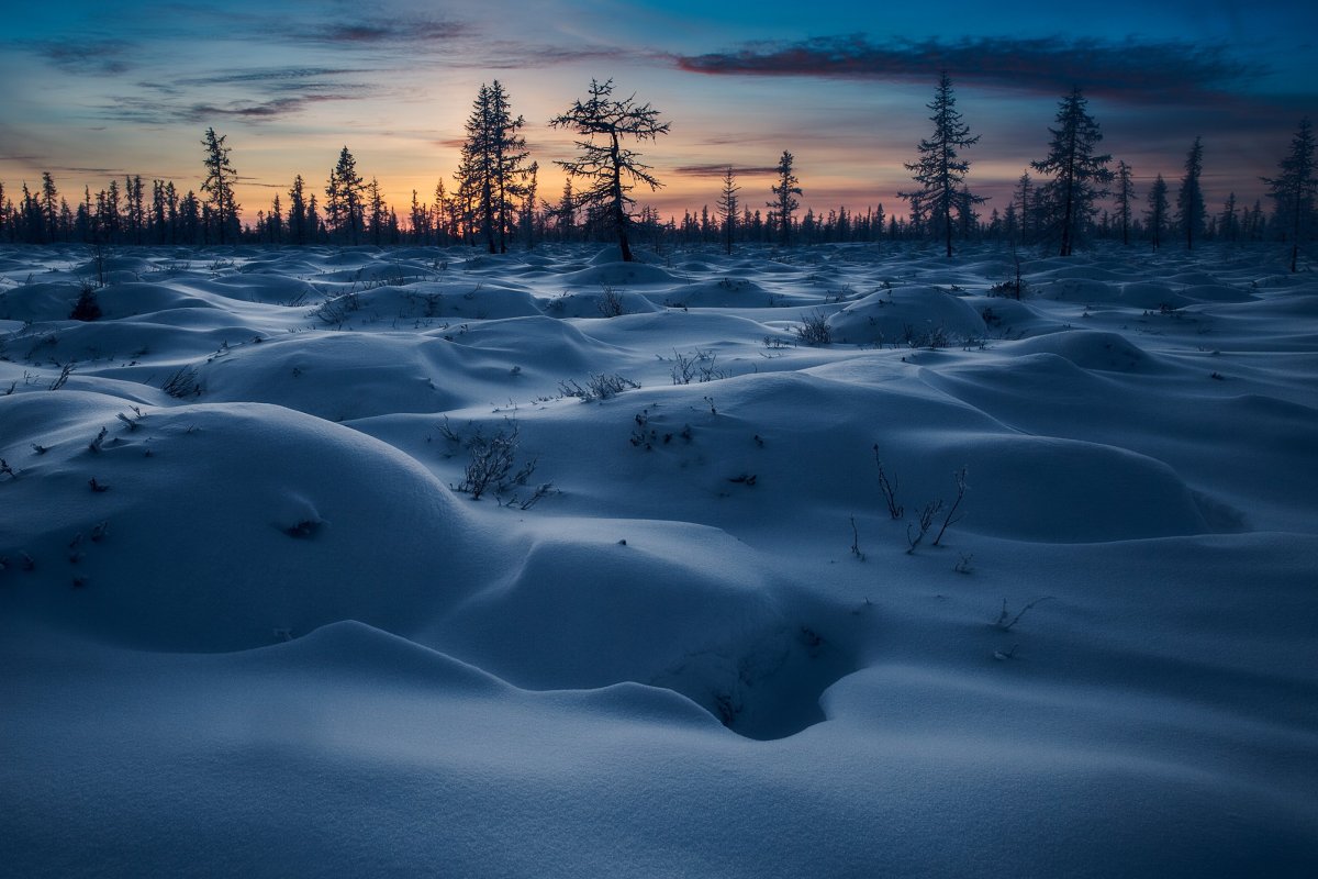 Крайний Север тундра