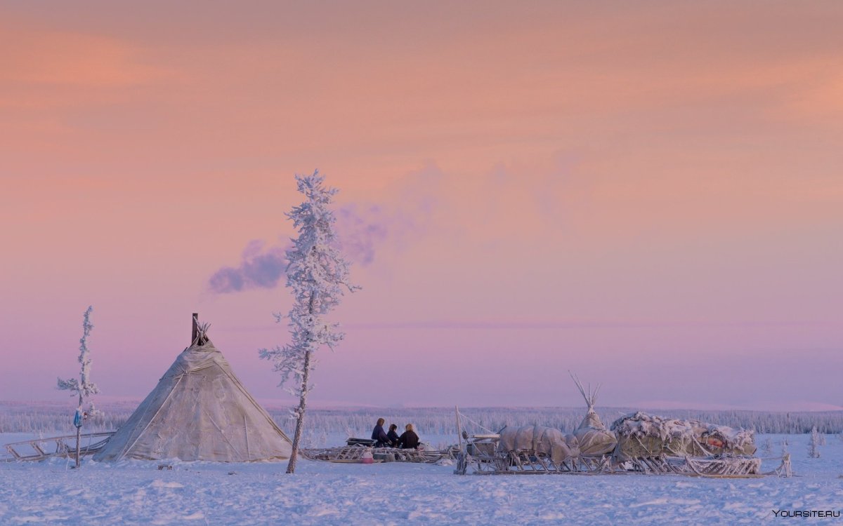 Тундра Ямала