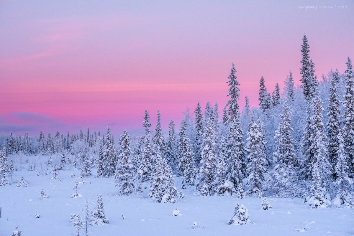 Крайний Север тундра