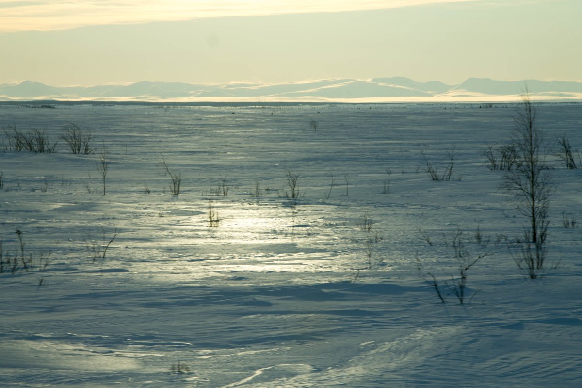 Тундра Ненецкий автономный округ