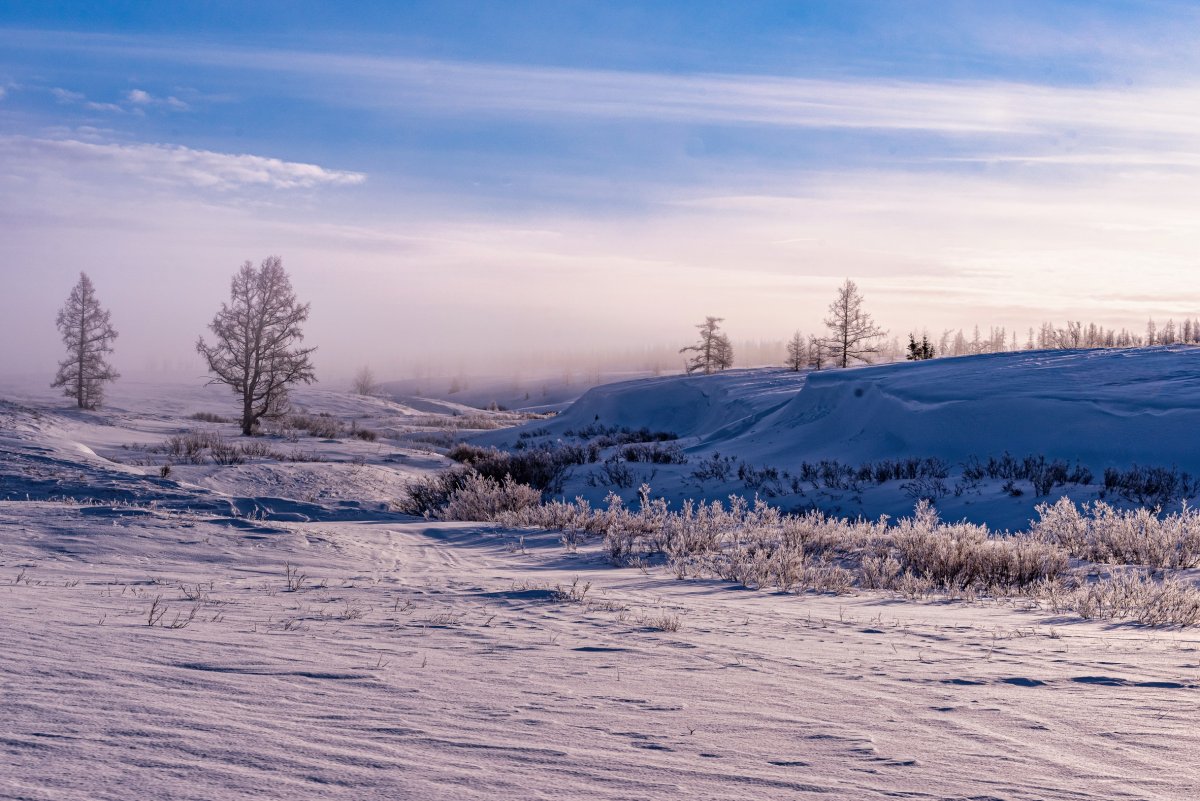 Природа севера России
