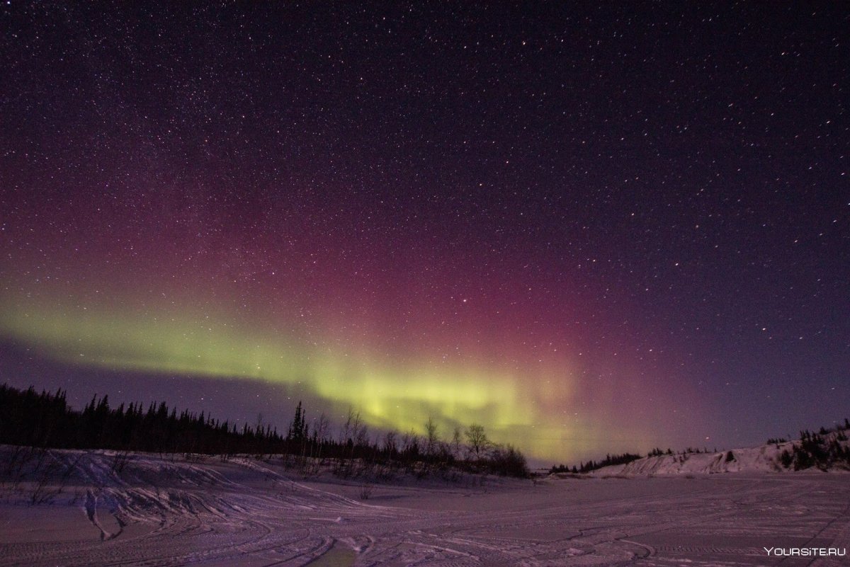 Тундра зимой Полярная ночь