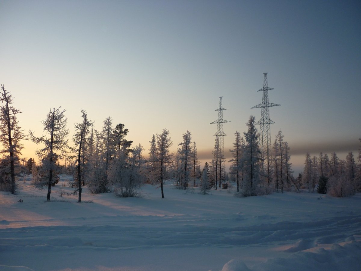 Воркута тундра