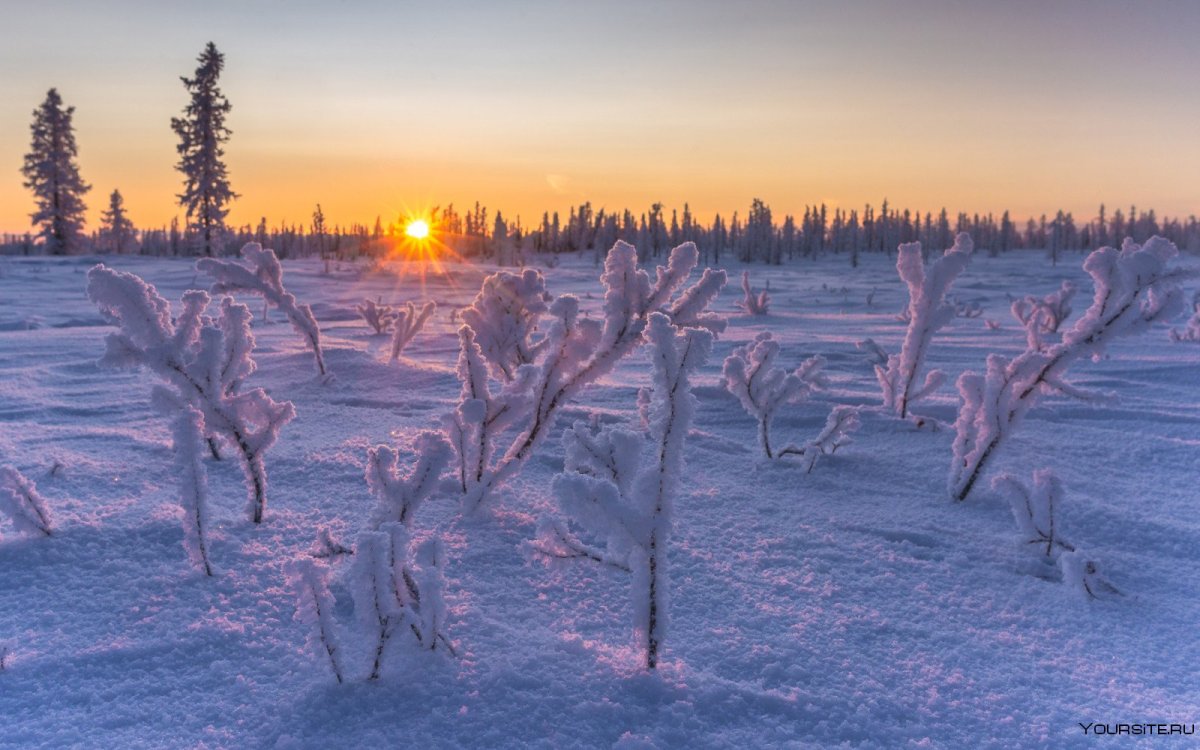 Ледяные ловушки в тундре
