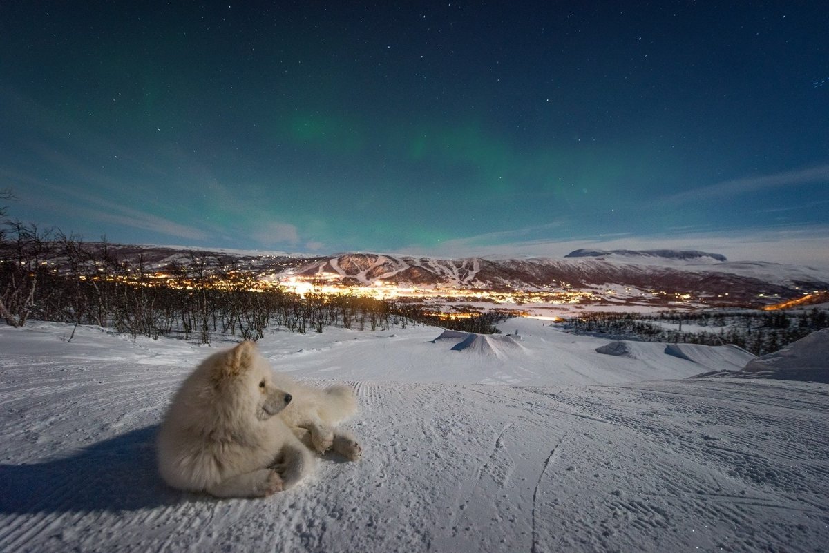 Ямал и Кольский полуостров