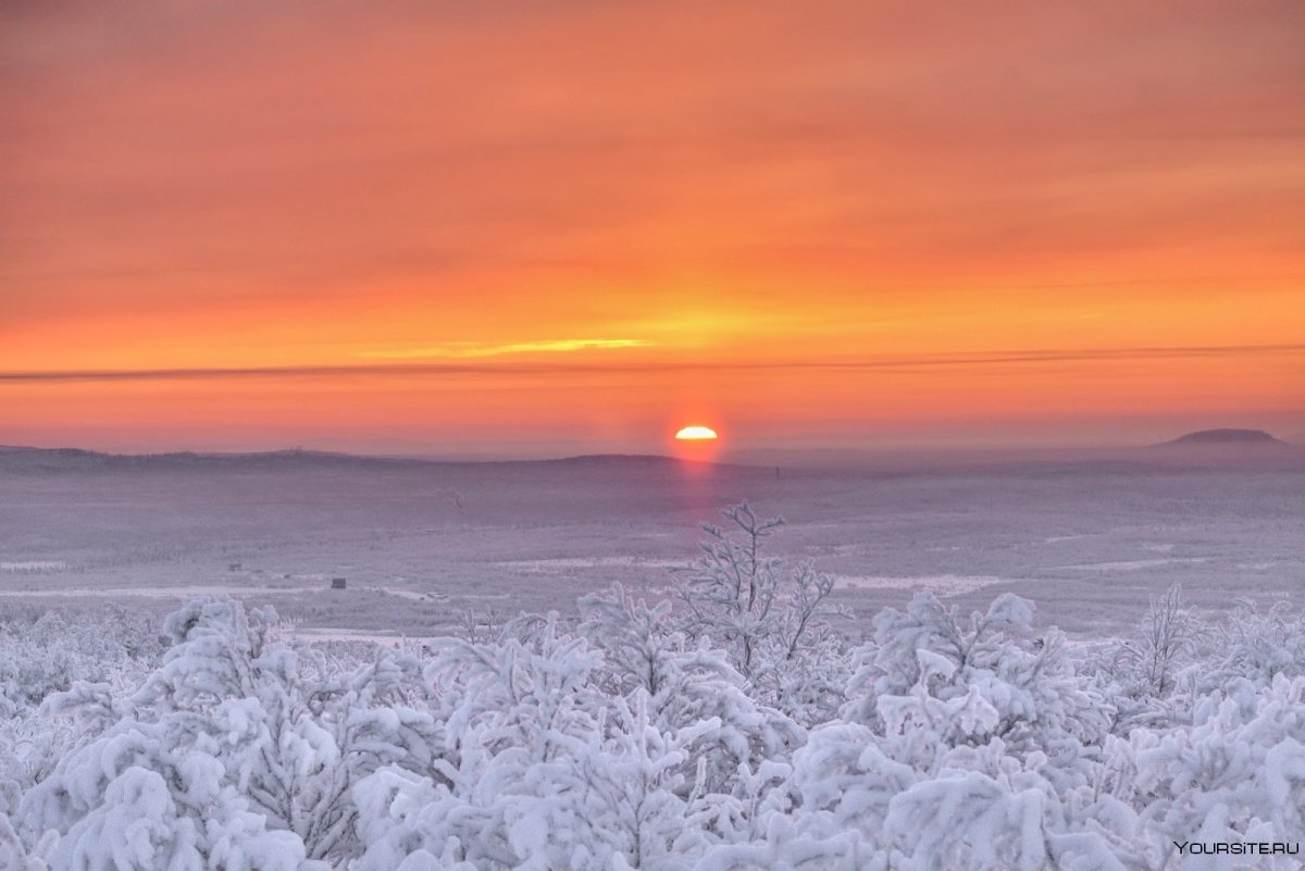 Арктическая тундра зима